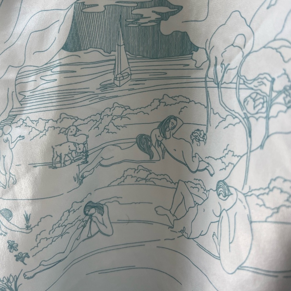 Vintage-Inspired Satin Slip Dress – Lace Trim & Toile Print - Picture 6 of 6